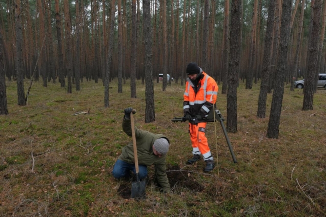 Se întâmplă și în Germania: Construcția uzinei Tesla, întârziată de furnici și lilieci