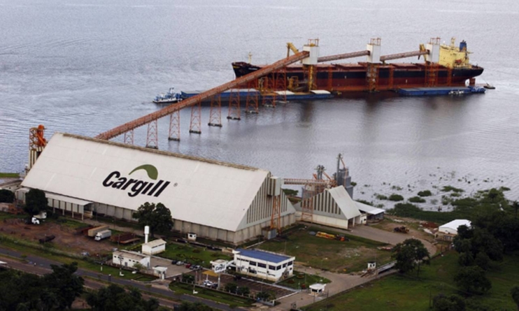 Ecologia împinsă la extrem: revenim la navele cu vele