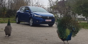 Dacia Sandero și Spring, în vârful clasamentului înmatriculărilor din Europa în aprilie