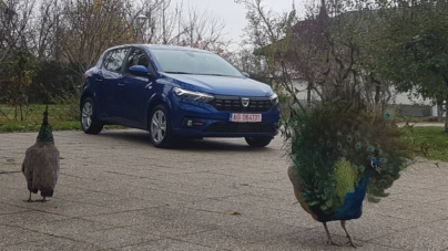 Dacia Sandero devine victima propriului succes