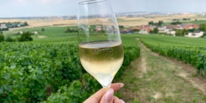 Producătorii francezi de şampanie se așteaptă la vânzări record