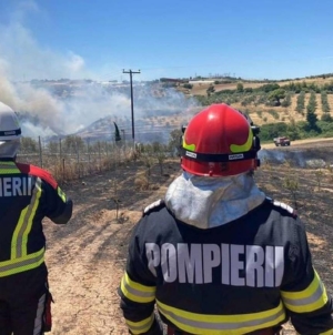 Incendii în Grecia. Pompierii români intervin la nord de Atena