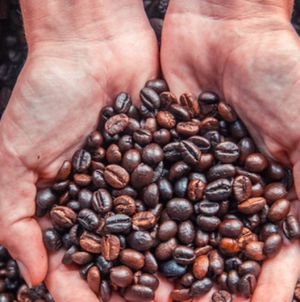 Consumul de cafea va creşte anual cu 1% – 2% până în 2030