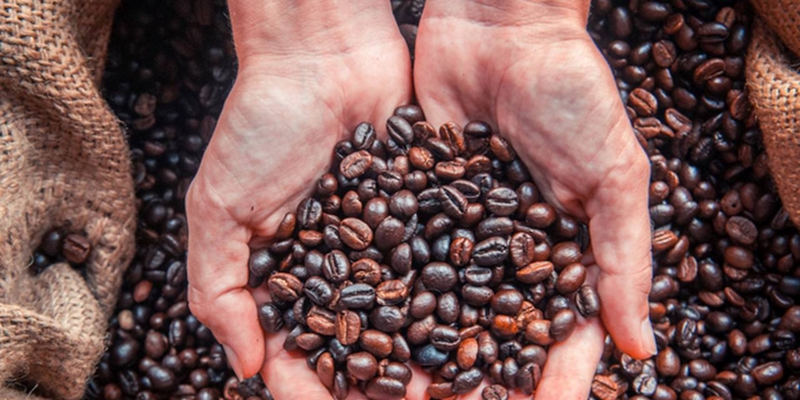 Consumul de cafea va creşte anual cu 1% – 2% până în 2030