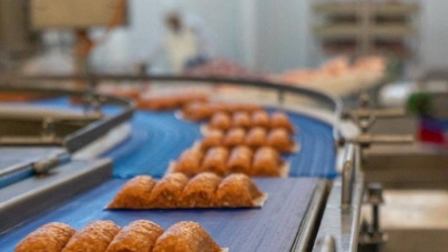 CarmOlimp a investit peste 1,5 mil. euro în „Litălși”. Micii românești vor fi prezentați la New York