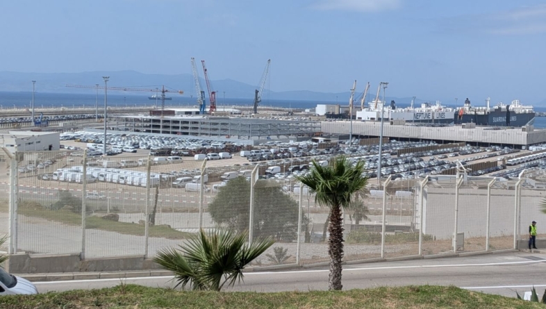 Miza din spatele legii „Made in UE”: De ce se luptă producătorii auto să salveze uzinele cu costuri reduse din afara Europei